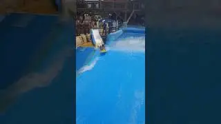 Boogie Bahn in Schlitterbahn New Braunfels