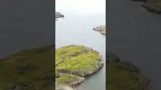 Дальние Зеленцы love forever😍