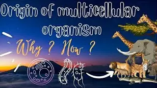Origin of Multicellular organisms @Wild_Whispersofficial