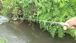 Mancing ikan kamis 5 februari 2026