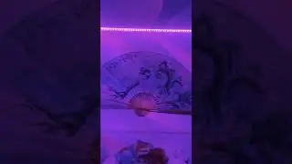 Installing DAYBETTER LED/RGB Lights