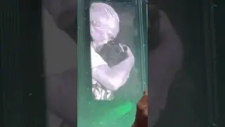 Rammstein Puppe LIVE 18.07.2024 Klagenfurt Austria Paulchard Richard kruspe paul landers cute