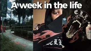 What a Real Week as a Young Content Creator Looks Like..