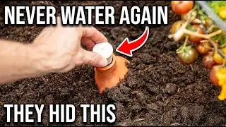 Burying This Pot Ends Watering Forever || The Forgotten Self Watering Secret