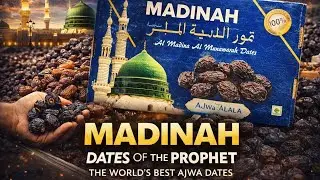 Madinah Date Farm - Ajwa Alia (the best) LOCATION IN DESCRIPTION 