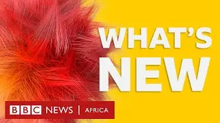 BBC Africa: Tackling colourism and skin bleaching plus more stories - BBC What's New