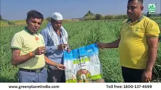 Green Planet Best Result on Chana  Organic Products  Organic Farming
