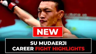 Su Mudaerji Fight Highlights | Updated in 2025