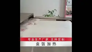 50KW cold chain boxed meal microwave heating sterilization tunnel furnace