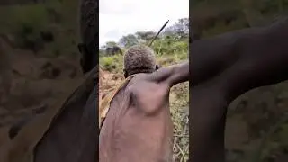 Elder African Hunter&rsquo;s Jungle Adventure. Real Tribal Life & Survival in Africa | #shorts