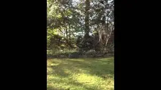 395001
