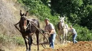 Pregón Feria de Yunquera 2016. Presentación de imágenes de Yunquera por José Luis Merino.
