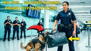 Pies k9 służb celnych zatrzymuje podejrzaną torbę na lotnisku — wywołując kryzys dyplomatyczny