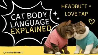 Does Your Cat Headbutt You? Here&rsquo;s the Shocking Reason Why