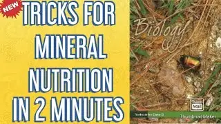 TRICK FOR MINERAL NUTRITION /ONE SHOT TRICKS/ NCERT 11th NEET UG