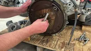 Can bread really remove a pilot bearing?