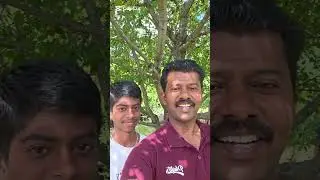 Cherry  🍒 🌳 tree in canada 🇨🇦 &hearts;️ #tamilvlog #tamilcanada #tamiltravelvlogger #trendingvideo#adirai 