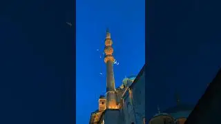 #taiba