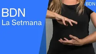 BDN La Setmana 20 de desembre de 2025