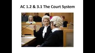 UNIT 4 AC 1.2 & 3.1 The Courts