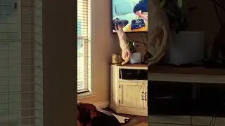 Spud and the Screen