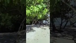 Diatoy Island | Coron, Palawan