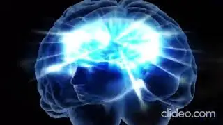 brain meme/galaxy brain meme/fanny meme clips download (no copyright video)