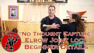 Elbow Capture Joint Lock, Beginner Muso Dori Details