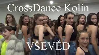 CrossDance - V&scaron;evěd - pro Leo&scaron;e Mare&scaron;e