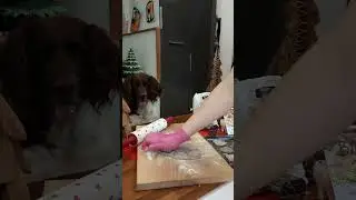 Biscotti sani per cani 🐶
