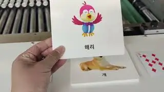 Automatic card slitting collating punching machine