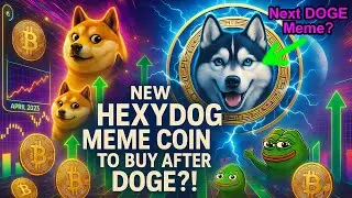 New Hexydog Project with Actual Utlity 🚀 Next Big Utility Coin Incoming??