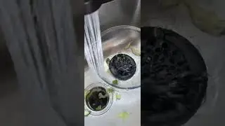 EXACTLY how to use a garbage disposal