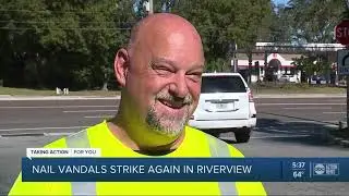 Riverview neighborhood in 'limbo' after vandal refuses to stop dumping nails on road