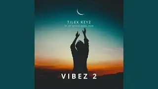 Vibez 2 (feat. DT Keyz & Claudel Dera)