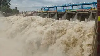 नानक सागर डैम नानकमत्ता LIVE। RED ALERT Uttarakhand। Nanak sagar dam Live Updet।