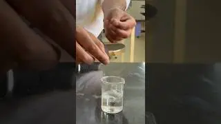 Hydrogen gas test - It burns with a pop sound . Mg is added to HCl #learnchemistry #cbsechemistry