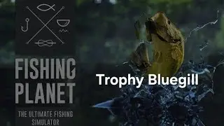 Trophy Bluegill - Mudwater river - Fishing Planet