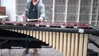 16 note scales