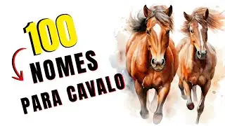 100 NOMES PARA CAVALOS 🐴🐎 MELHOR NOME PARA CAVALO 🐴🐎 NOMES LINDOS PARA CAVALOS