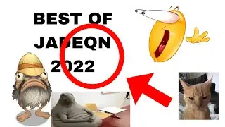 Best Of JadeQN 2022