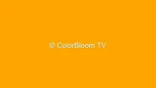 1 Hour of Soothing Orange Screen | ASMR Visuals