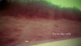 Sasha & the Bear feat. Sasha Daniel - We're the Only (Lyric Video)