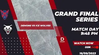 HOCKEY | Demons vs Ice wolves | D GRADE | Finals Series