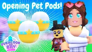Opening *Special* Dev Pet Pods in Roblox Overlook Bay!