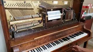 Moonlight Bay - QRS Player Piano Roll 7745 - On 1905 Windsor Piano