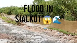 Flood  Alert 🌊🚨in Sialkot | Sialkot Flood Today #shortsfeed #floodupdate #sialkot #trendingvideo 