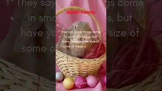 Tickletube🐰 #Easter edition #funny  #funweek #easter #bunny