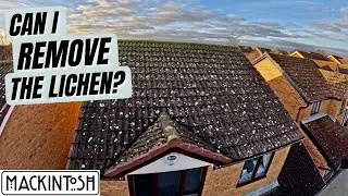 Can I Remove The Lichen From This Roof?