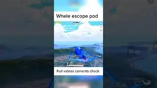 Whale Escape Pod 🐟